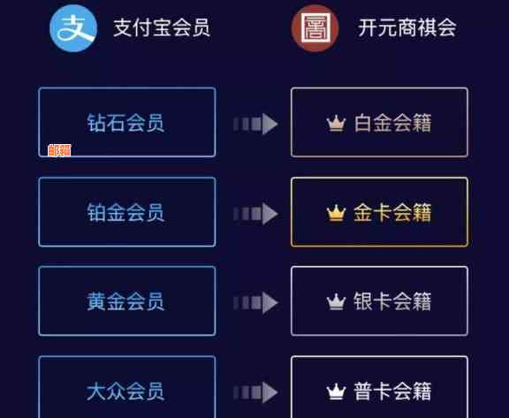 支付宝会员等级还信用卡