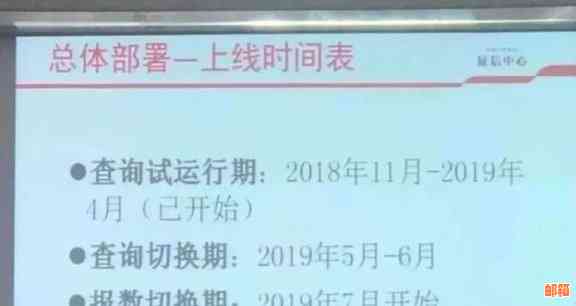 信用卡还款后如何查看报告？新用户必读，了解信用评分与维护技巧！