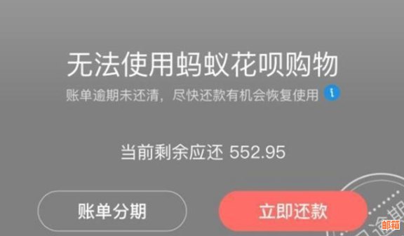 支持花呗还信用卡的实用软件推荐：逾期还款不再烦恼，信用提升从此开始