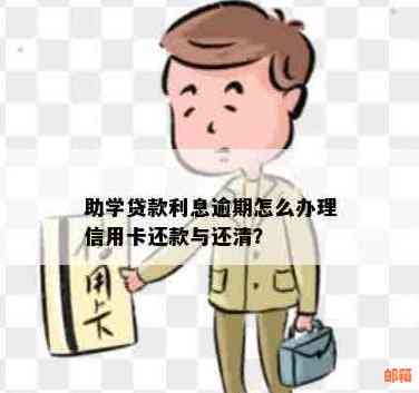 学历贷信用卡分期还款怎么还款？遇到问题如何解决？