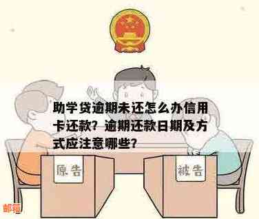 学历贷信用卡分期还款怎么还款？遇到问题如何解决？