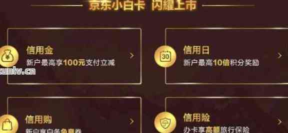 京东小金库怎么还信用卡