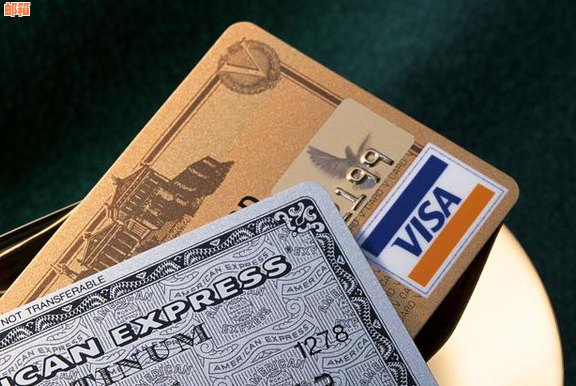 信用卡欠款利息计算方法与一年所需支付的利息详解，避免高额债务陷阱