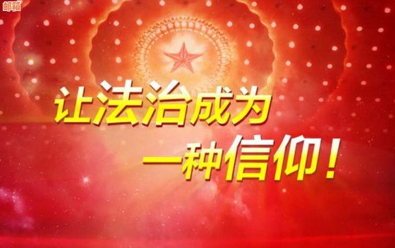 了解并选择适合的信用卡平台以满足各种金融需求