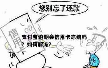 支付宝冻结信用卡还款是否可行？如何解决此问题？