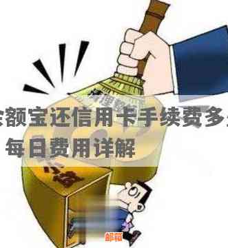 关于信用卡还款，余额宝是否需要支付手续费以及相关注意事项一览