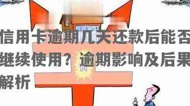 信用卡当天还款后，明天可以继续使用吗？