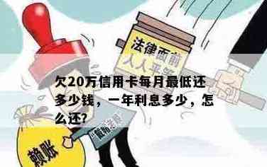 信用卡少二十万怎么还