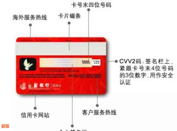 如何使用公司信用卡：全面指南、使用方法、优缺点分析以及注意事项