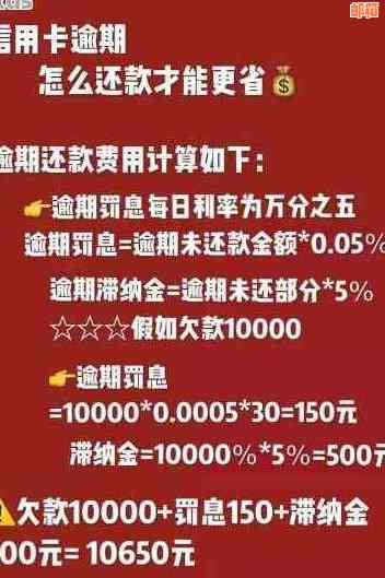 未按时还款余利宝和信用卡：解决逾期和还款问题的方法