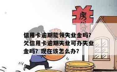 新领取失业金是否可以用来还信用卡？如何操作？