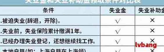 新领取失业金是否可以用来还信用卡？如何操作？