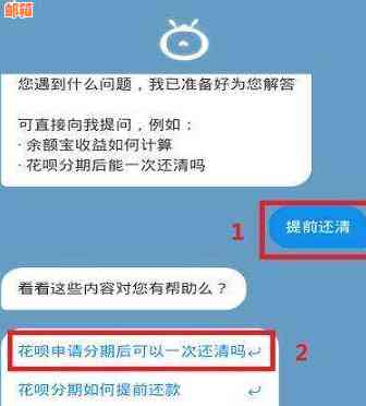 掌握信用卡还款技巧：如何提前还清全部款项