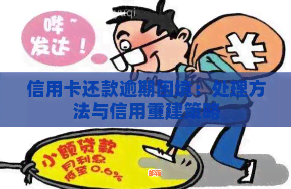 逾期还款：信用卡债务纠中的道德困境