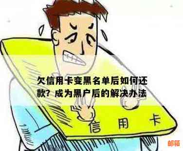 黑了怎么还信用卡贷款