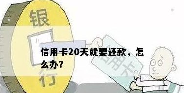 20号还信用卡没还会怎样