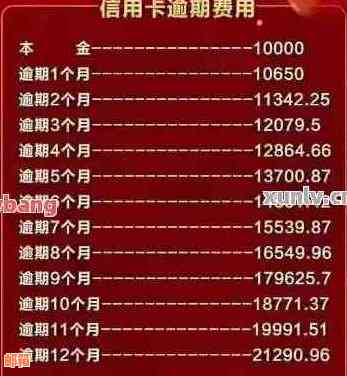 如何在半年内还清5万信用卡债务：一份全面指南