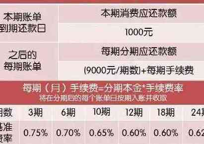 如何在半年内还清5万信用卡债务：一份全面指南