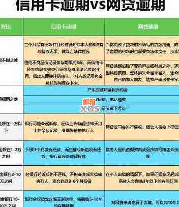 信用卡欠款数十元该如何解决？逾期还款后果与应对策略全面解析