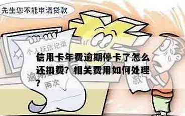 信用卡年费相关问题解答：收费标准、如何减免、退款及未缴纳后果