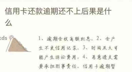 信用卡持有者的还款心得：逾期与失信的代价