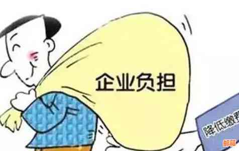 快贷能还信用卡钱吗