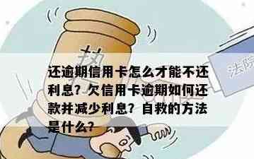 信用卡逾期还款攻略：如何快速实现财务自由