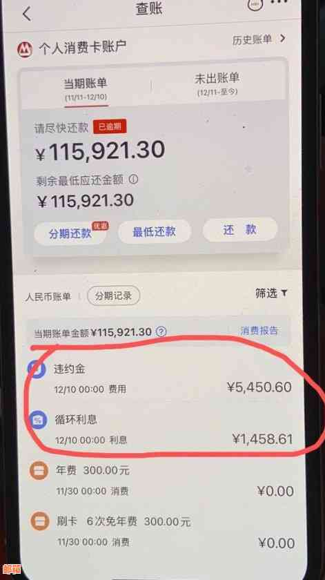 年薪20万还信用卡20万