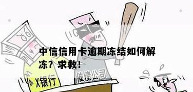 中信信用卡还款完成却被冻结？了解自动解封和逾期处理方式