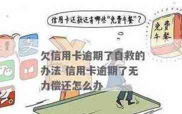 信用卡欠款无力偿还的后果及应对策略，你了解多少？