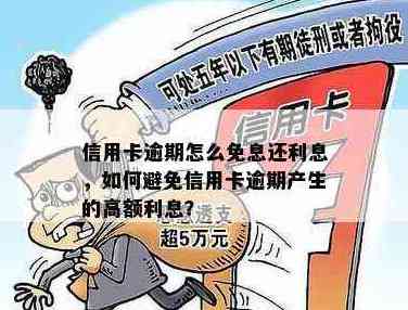 黑户信用卡还款免息政策全面解析：如何合法避免高利息债务