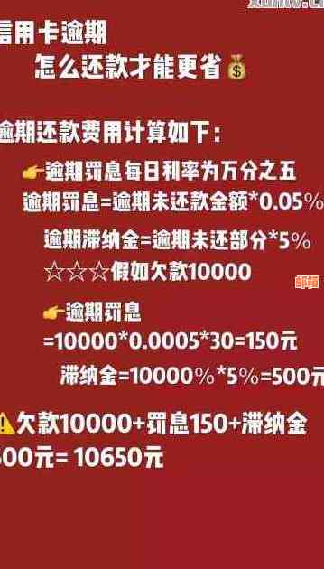 黑户信用卡还款免息政策全面解析：如何合法避免高利息债务