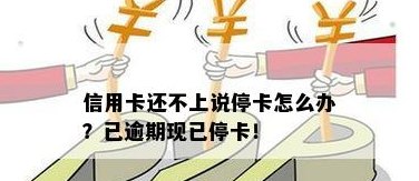 信用卡还进去了能报停吗