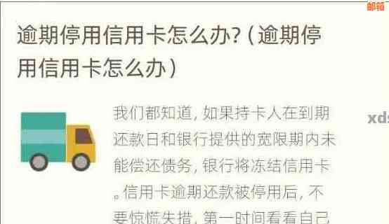 信用卡还进去了能报停吗