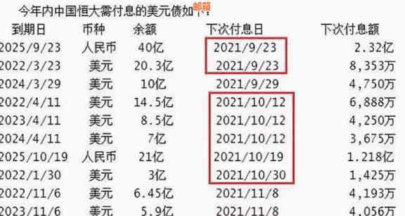 美元信用卡还款全攻略：掌握实用步骤与资讯