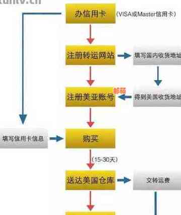 一站式指南：如何将信用卡美元转换为人民币，涉及操作步骤、费用和注意事项