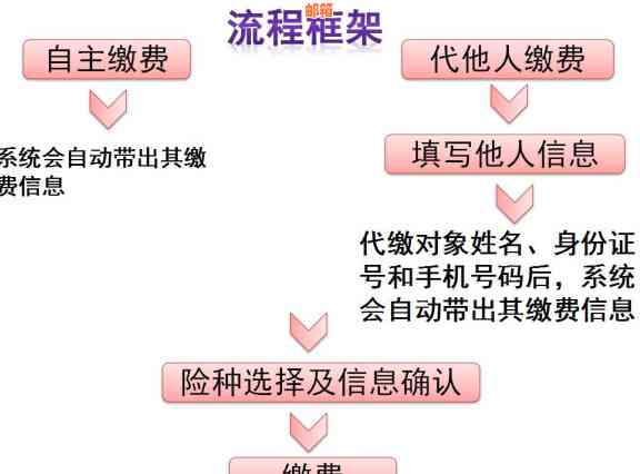 南信用卡代还服务全面指南：如何选择、价格、流程等一应俱全