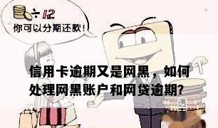 逾期未还的网贷和信用卡导致黑户信用，如何解决困境？