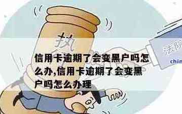 网贷信用卡没还黑户，贷款安全可行？还能办理哪些信用卡？