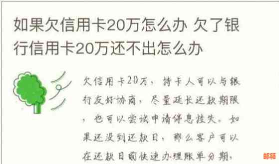 欠信用卡20几万怎么还