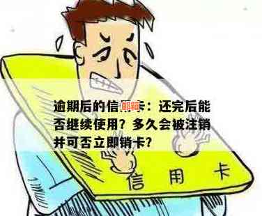 信用卡还款后立即注销：可行且明智的选择吗？