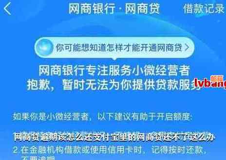 掌握网商贷操作步骤，轻松还清信用卡逾期款