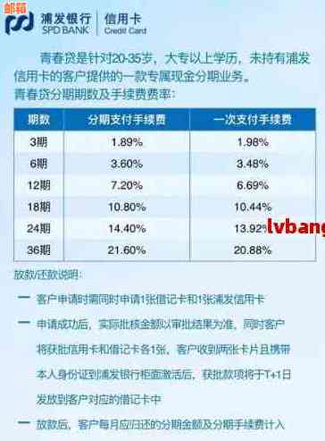 探索浦发信用卡分期付款的灵活机制与更低门槛