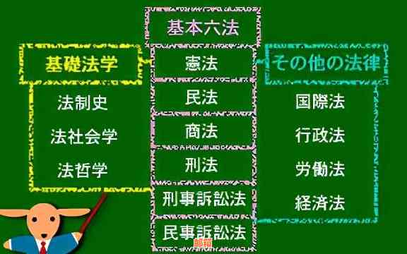 如何向母借入资金？ - 提供全面的步骤和建议