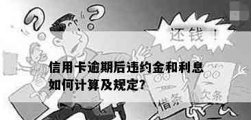 还信用卡利息和违约金：区别、计算与影响