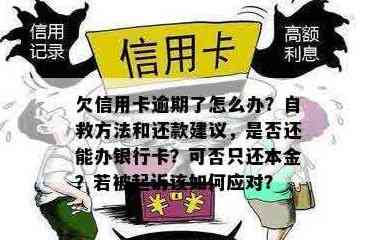 信用卡欠款18万的还款方法和建议，如何确保财务安全和避免逾期？