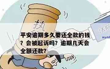 信用卡逾期还款平安银行会起诉多少金额？