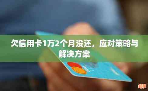 信用卡欠款6万元如何妥善处理和偿还？详解还款方式和应对策略