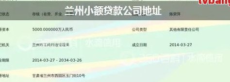 州全方位贷款公司信息汇总：电话、地址及更多实用指南