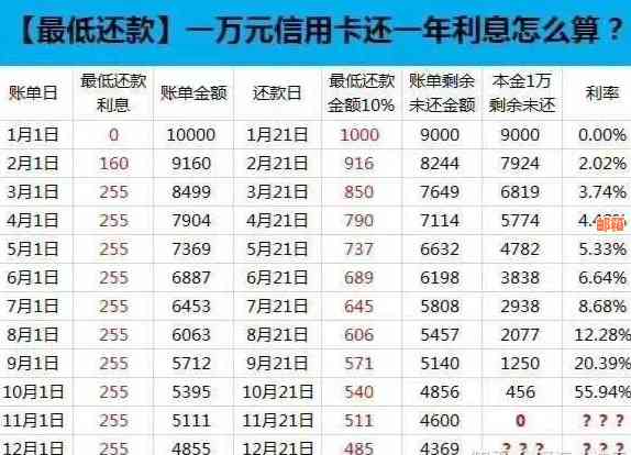 信用卡还款选项比较：更低还款、全额还款与何时选择